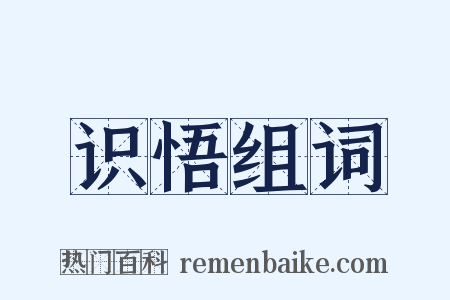 识悟组词是什么意思的图片